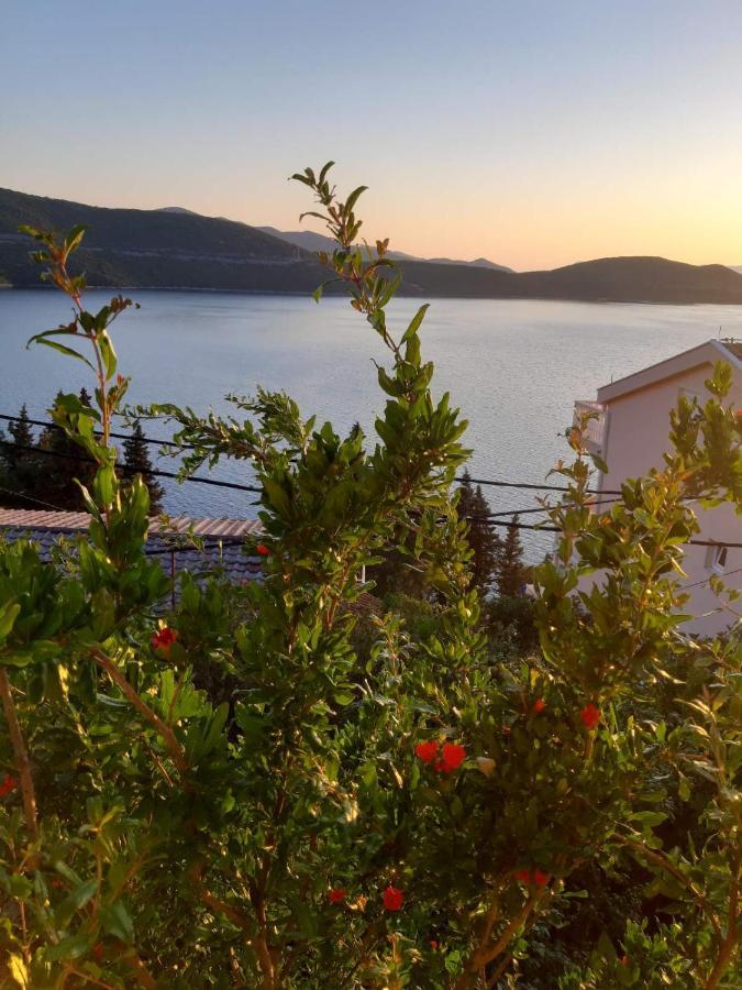 Apartmani Panorama 32 ネウム エクステリア 写真
